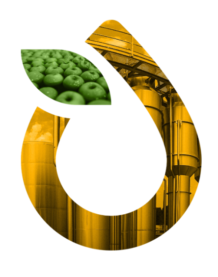 CONCENTRATED FRUIT JUICES AND PURE PRODUCTION