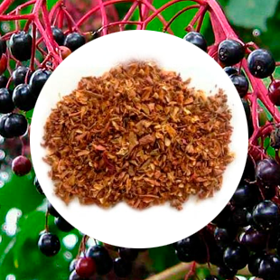 Elderberry pomace